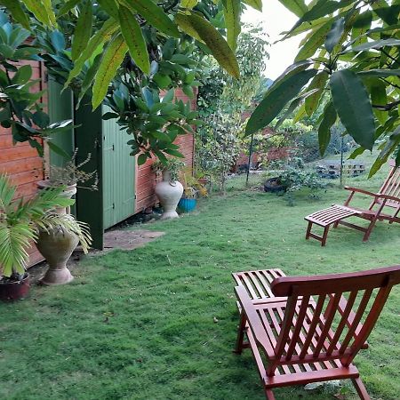 Ankache Hotel Grand-Bourg  Bagian luar foto